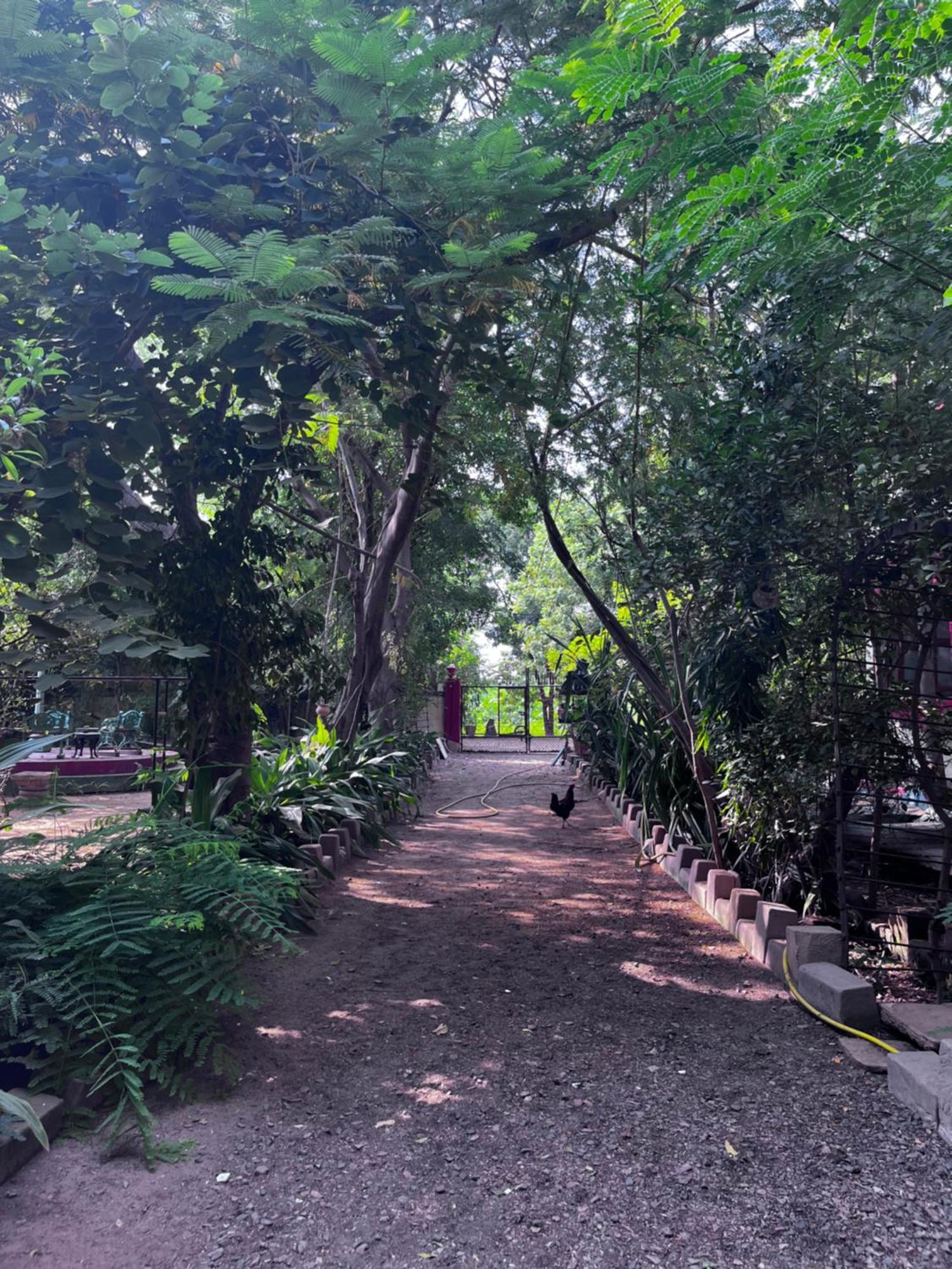 Sharad Baug Homestay Bhuj Eksteriør billede