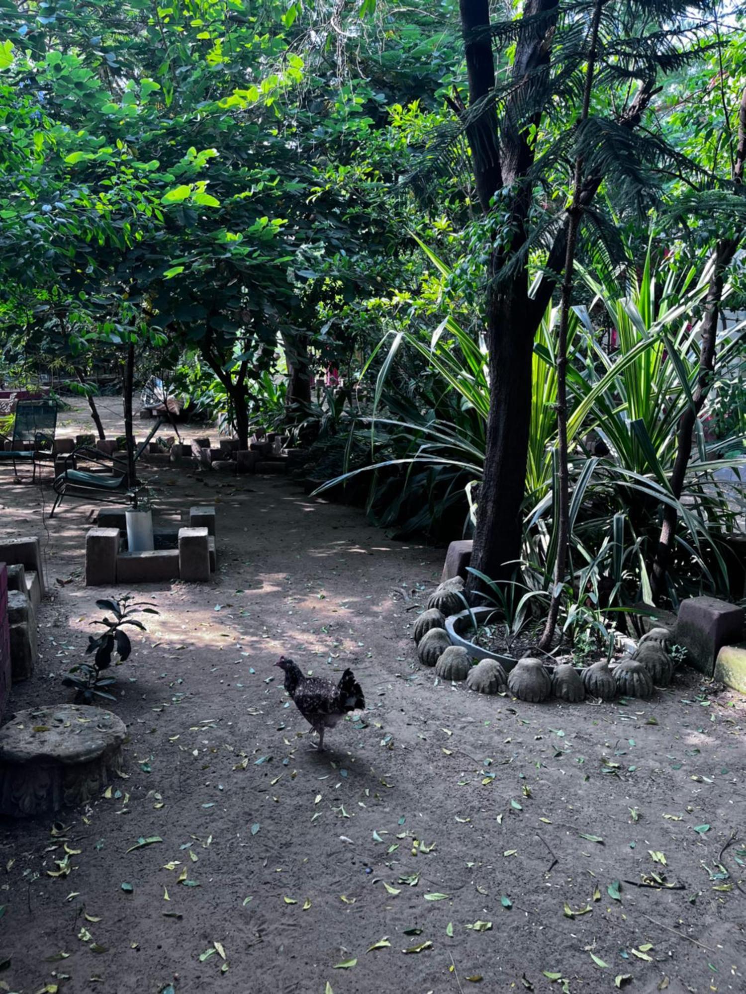 Sharad Baug Homestay Bhuj Eksteriør billede